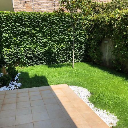 Appartamento Acacia Hill A3 Ðenovići Esterno foto