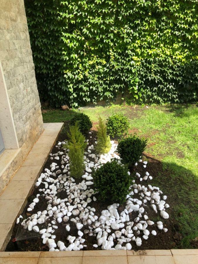 Appartamento Acacia Hill A3 Ðenovići Esterno foto
